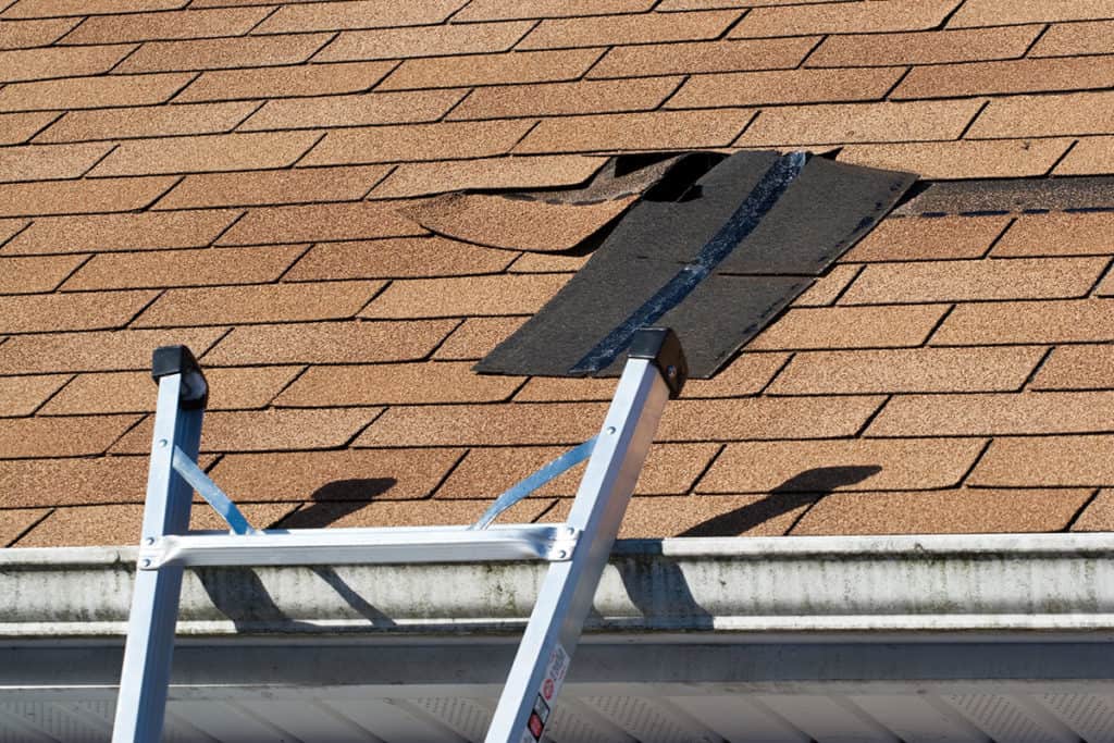 Signs That Your Massachusetts Roof Needs Repair or Replacement
