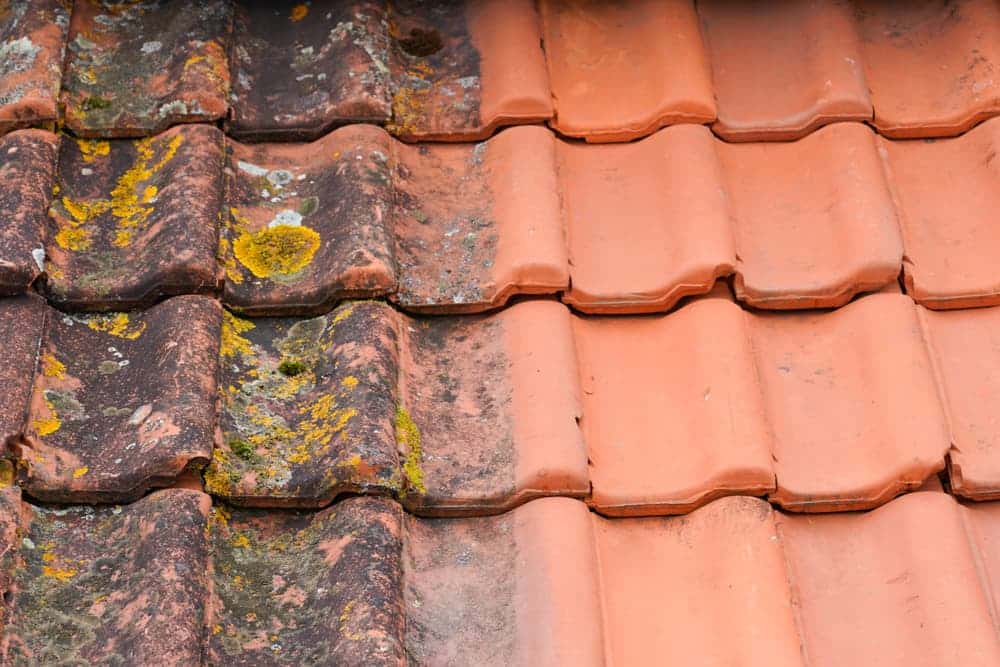 How to Clean Your Roof to Avoid Damage