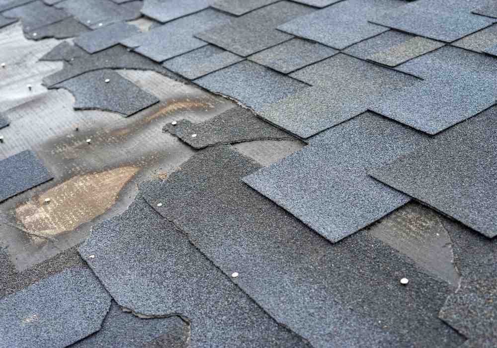 Discover the Best Metal Roof Contractors: A 2024 Guide